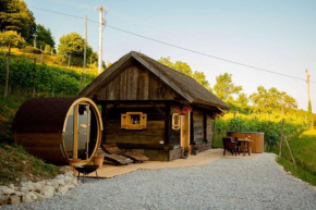 Holiday home in Otocec - Kranjska Krain 45722
